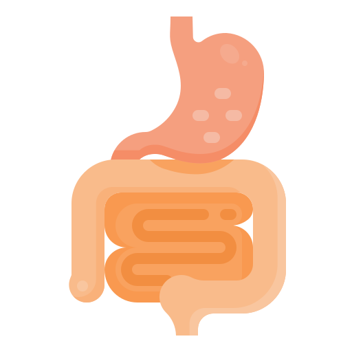 Digestive Wellness