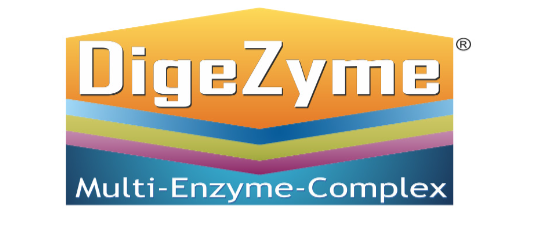 DigeZyme multi-enzyme complex