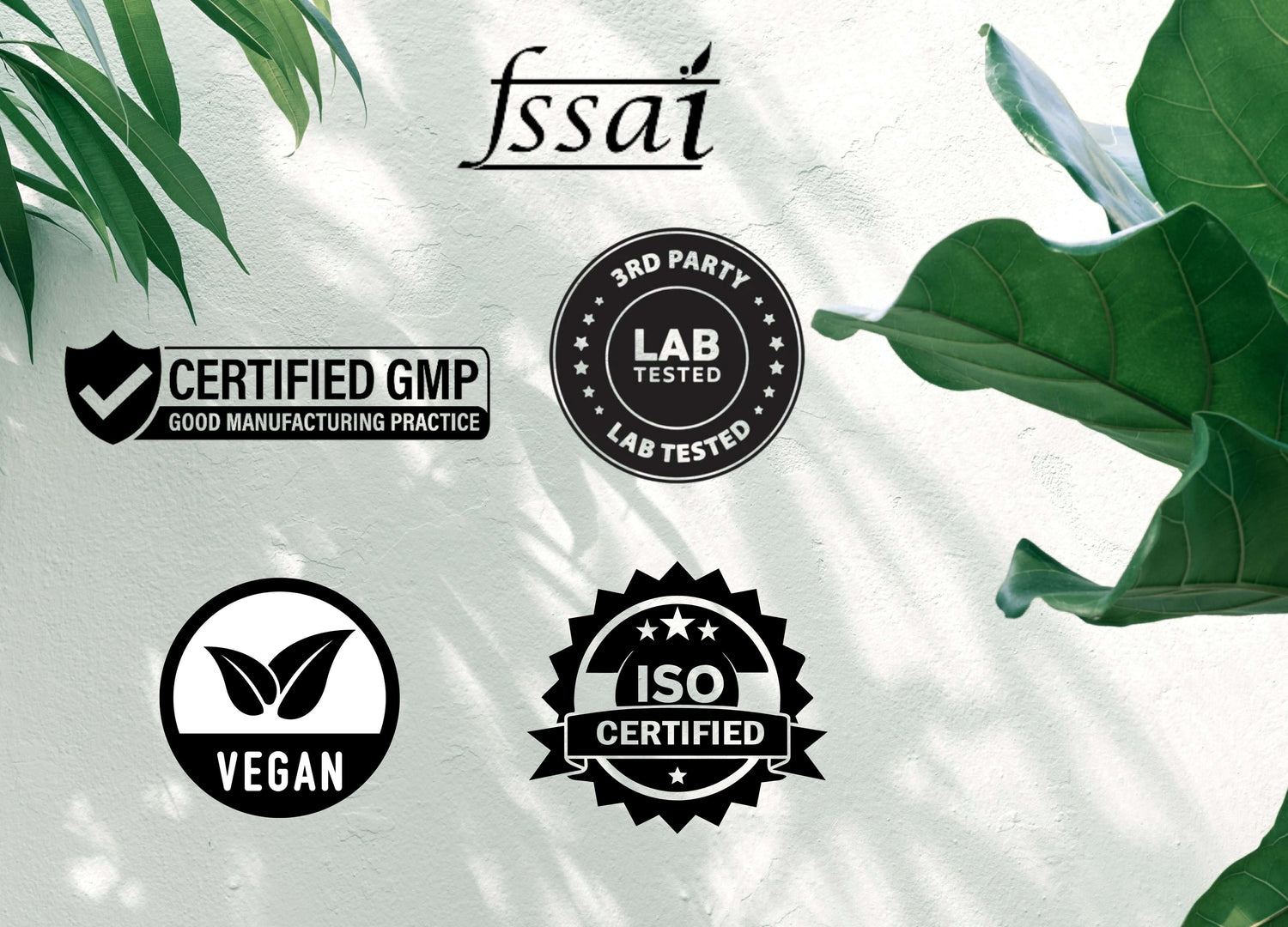 Superfood Plant Protein for Women | Cafe Mocha