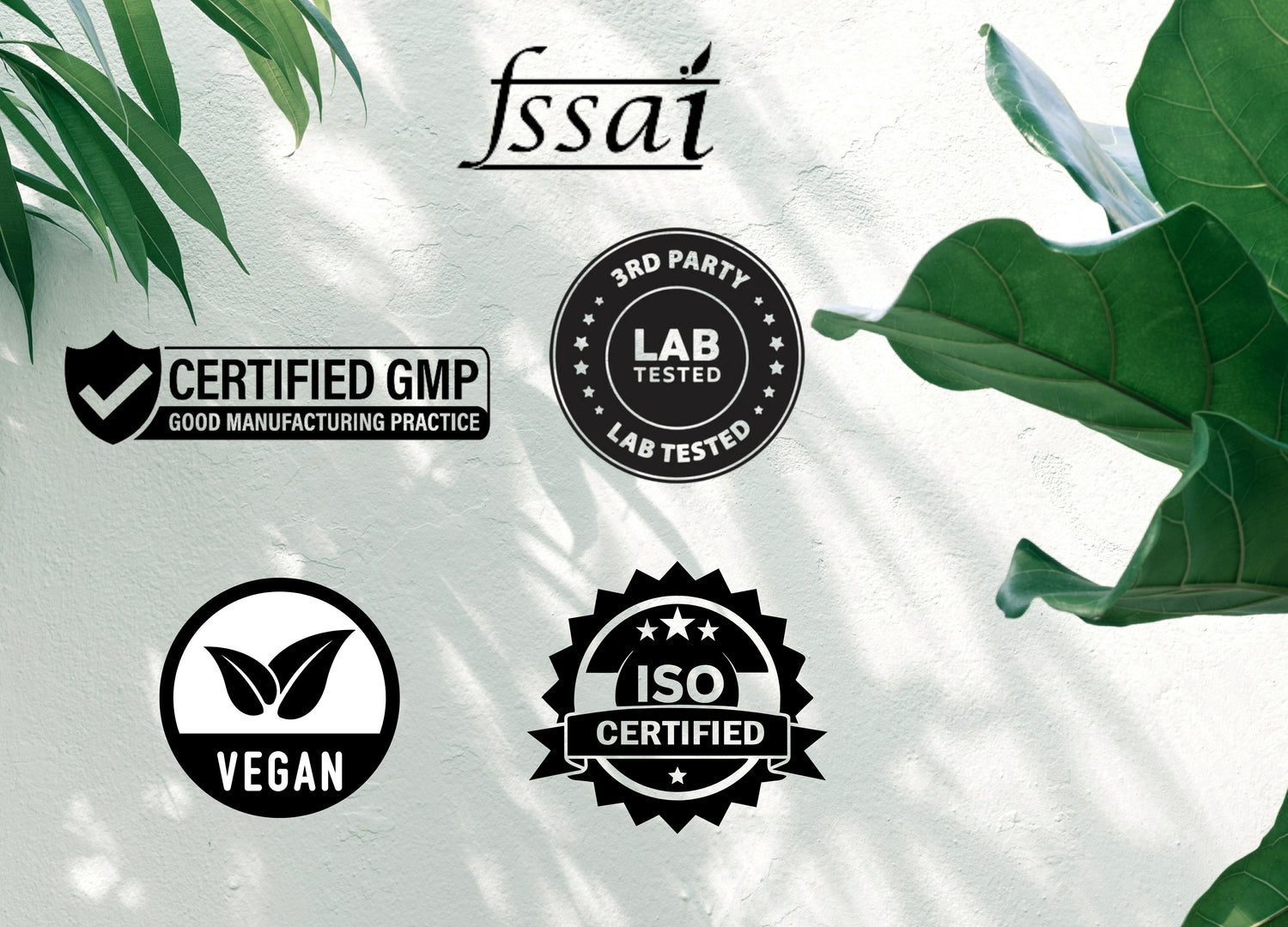 Superfood Plant Protein for Men | Chocolate Peanut Butter Flavor