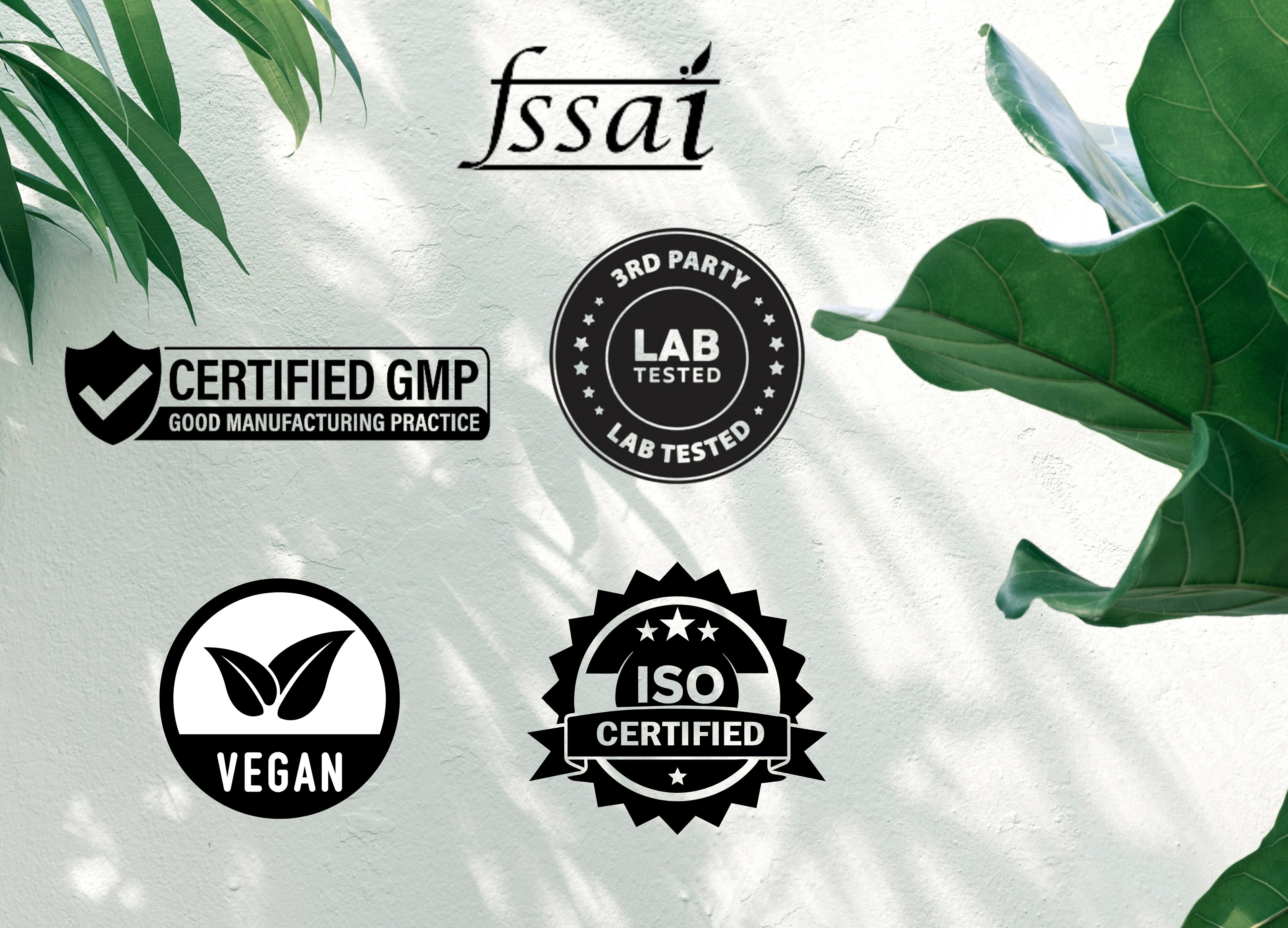 Superfood Plant Protein for Men | Chocolate Peanut Butter Flavor